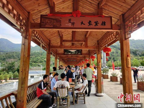 福建首家高速服務(wù)區(qū)大眾茶館開(kāi)業(yè) 探索“茶旅融合”新路徑，為旅途添一縷茶香